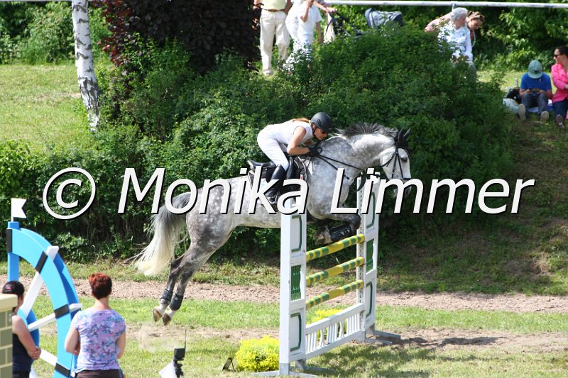 204M6360_Quidams Casio Paya_Spring Mx.JPG